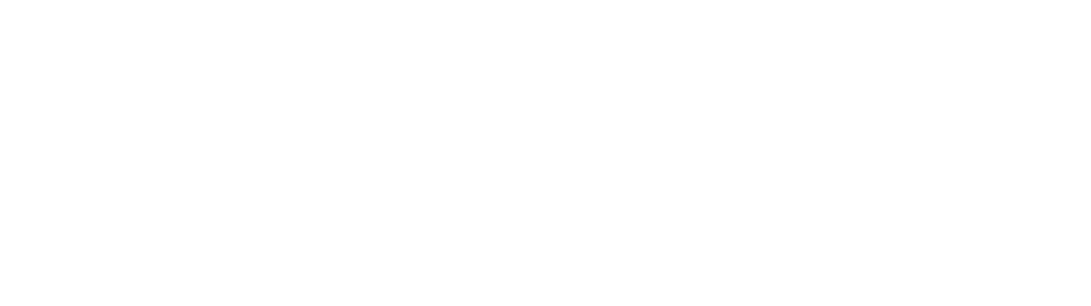 Diplomat